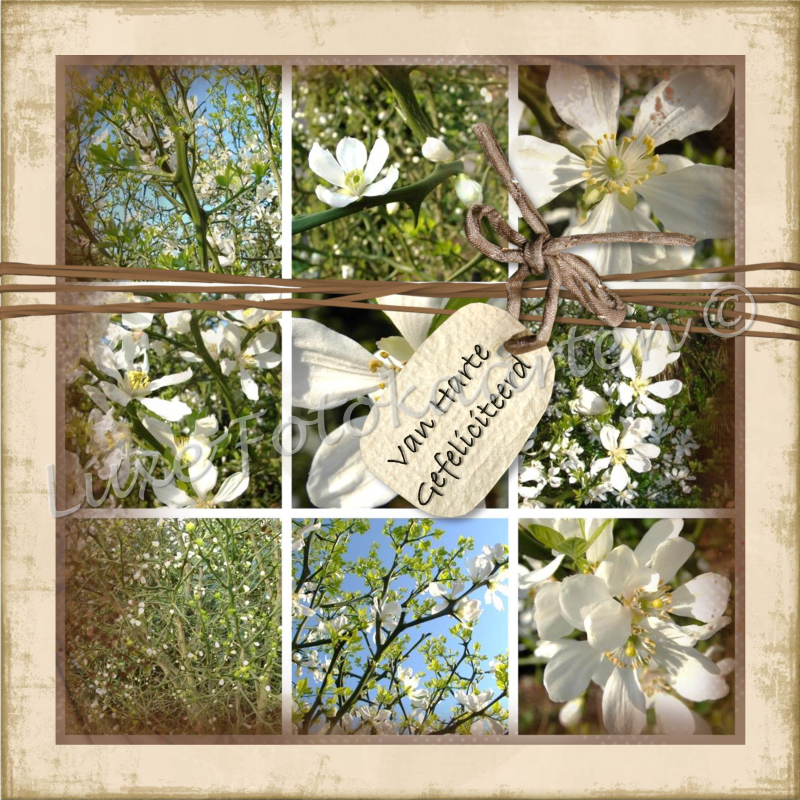 Gefeliciteerd Algemeen - 9 vakjes